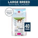 Purina ONE Large Breed Dry Dog Food, Chicken