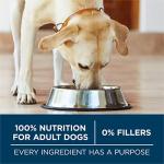 Purina ONE Large Breed Dry Dog Food, Chicken