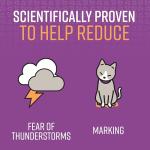 Sentry Calming Collar for Stressed Cats, 30 Days