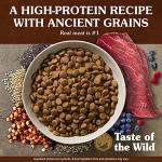 Taste of the Wild Ancient Prairie Dog Food 28lb