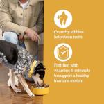 Pedigree High Protein Chicken & Turkey Dog Food