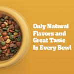 Pedigree High Protein Chicken & Turkey Dog Food