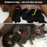 20 Soft Adjustable Puppy Whelping Collars (20 Colors)