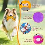 Squeaky Crinkle Dog Toys - 5 Pack Set