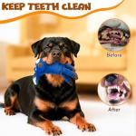 Squeaky Crinkle Dog Toys - 5 Pack Set