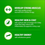 IAMS Large Breed Adult Dry Dog Food, Chicken 40 lb