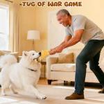 Squeaky Crinkle Dog Toys - 5 Pack Set