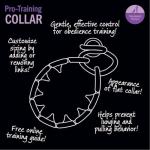 Starmark Pro Training Dog Collar - Small