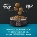 Purina Pro Plan Salmon & Oatmeal Dog Food 12 lb