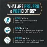 Purina Pro Plan Salmon & Oatmeal Dog Food 12 lb