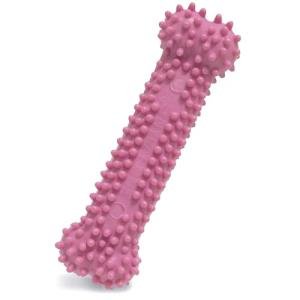 Nylabone Chicken Flavor Teething Bone for Puppies