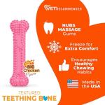 Nylabone Chicken Flavor Teething Bone for Puppies