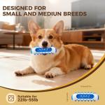 3-Pack Durable Chew Toys for Small Dogs