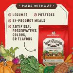 Stella & Chewy's Raw Blend Beef & Lamb Recipe