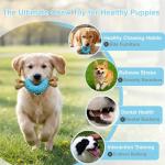 Indestructible Chew Toys for Teething Puppies