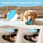 Indestructible Chew Toys for Teething Puppies