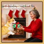 3-Pack Durable Chew Toys for Small Dogs