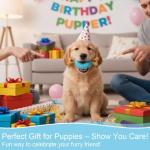 Indestructible Chew Toys for Teething Puppies