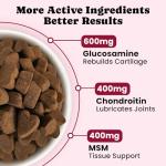 Wuffe Joint Chews for Dogs - 180 Count