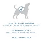 Purina ONE Joint Health Dry Dog Food 31.1 lb