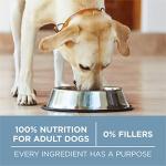Purina ONE Joint Health Dry Dog Food 31.1 lb