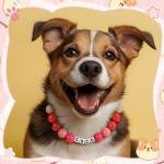 Personalized Beaded Dog Collars for All Sizes