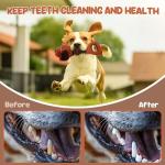 Interactive Squeaky Tug of War Puppy Toy