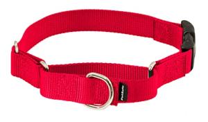 PetSafe Martingale Collar with Quick Snap Buckle