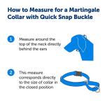 PetSafe Martingale Collar with Quick Snap Buckle