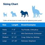 PetSafe Martingale Collar with Quick Snap Buckle