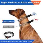Adjustable Dog Prong Collar with Quick Release
