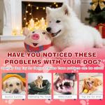 Interactive Rechargeable Squeaky Dog Ball Toy