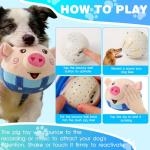 Interactive Rechargeable Squeaky Dog Ball Toy