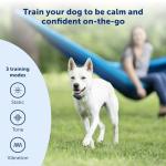PetSafe Remote Training Collar for Off-Leash Dogs