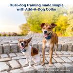 PetSafe Remote Training Collar for Off-Leash Dogs