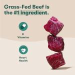 Jinx Premium Dry Dog Food with Real Beef & Superfoods