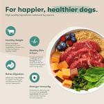 Jinx Premium Dry Dog Food with Real Beef & Superfoods