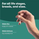 Jinx Premium Dry Dog Food with Real Beef & Superfoods