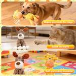 Durable Plush Squeaky Dog Toy for All Sizes