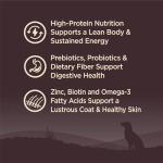 Wellness CORE Grain-Free High Protein Dog Food