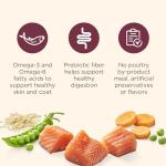 Salmon & Veggies Brown Rice Dry Dog Food 26 lb