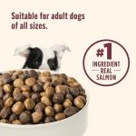 Salmon & Veggies Brown Rice Dry Dog Food 26 lb