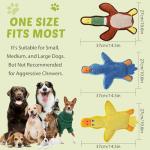 Cute Duck Squeaky Toys 3-Pack for Dogs