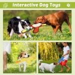 Cute Duck Squeaky Toys 3-Pack for Dogs