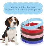 Adjustable Puppy Collars, 20 Pack, 6 Colors