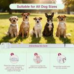 Allyeah Natural Flea and Tick Collar 4-Pack