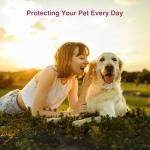 Allyeah Natural Flea and Tick Collar 4-Pack