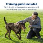 PetSafe Stay & Play Wireless Fence Receive Collar for Stubborn Dogs - Rechargeable & Waterproof Receiver Collar with Quick Charge in 2-3 Hours - for Dogs 5lb+