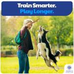 American Kennel Club Durable Wood Chew Toy