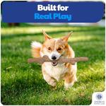 American Kennel Club Durable Wood Chew Toy